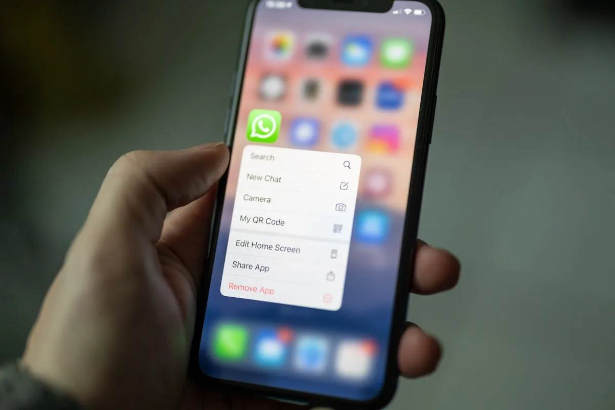 Confirmação de agendamento via WhatsApp: passo a passo